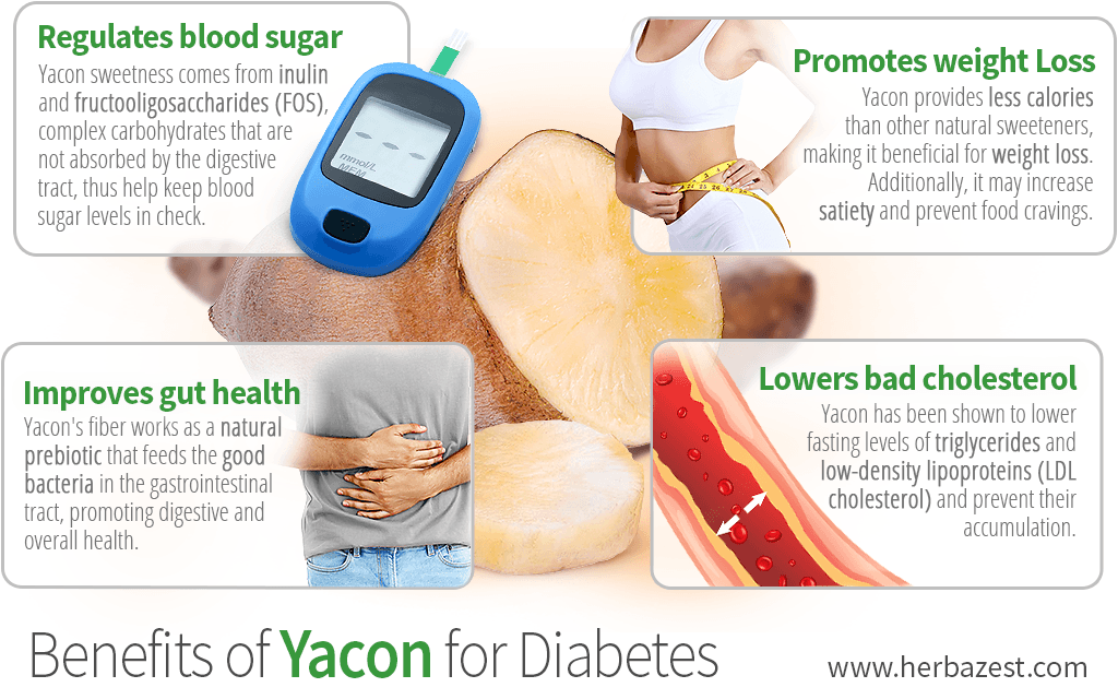 Benefits of Yacon for Diabetes