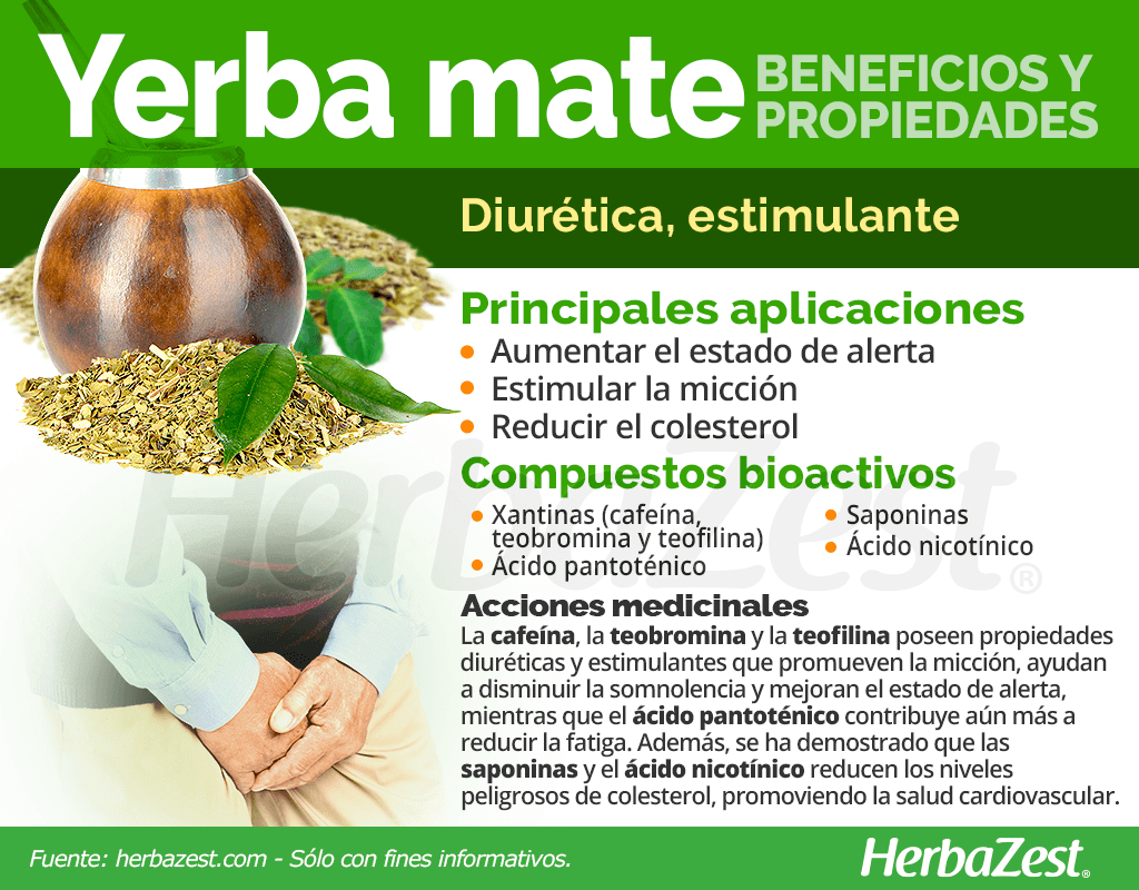 Beneficios y propiedades de la yerba mate