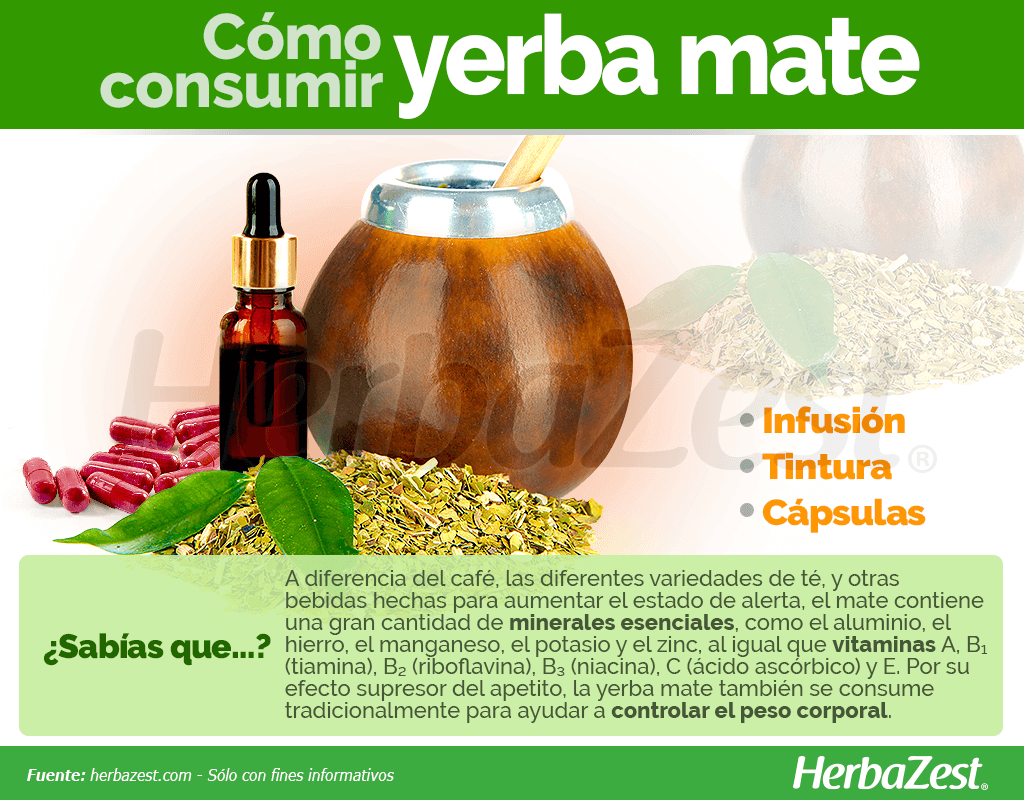 Cómo consumir yerba mate