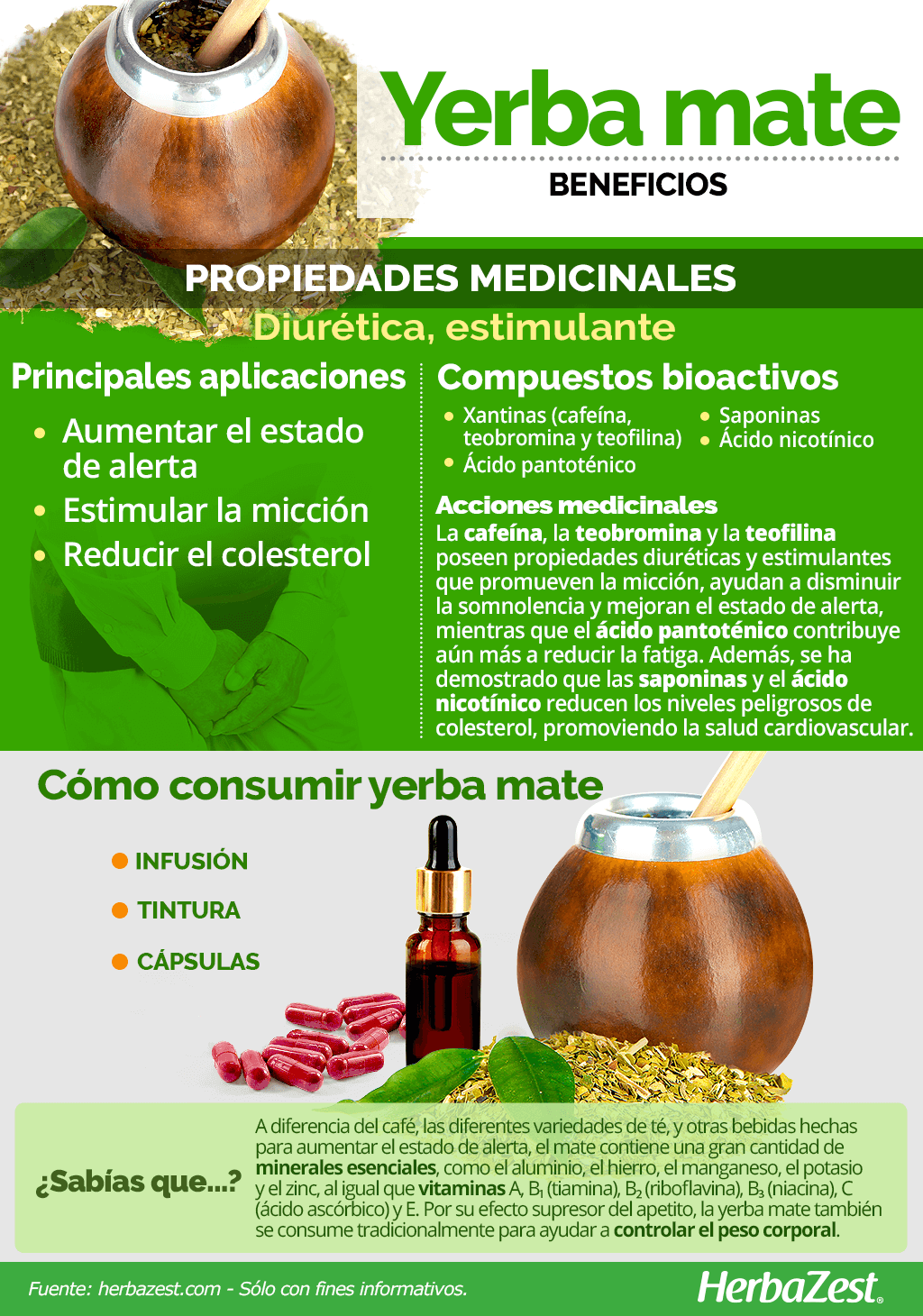 Beneficios de la yerba mate