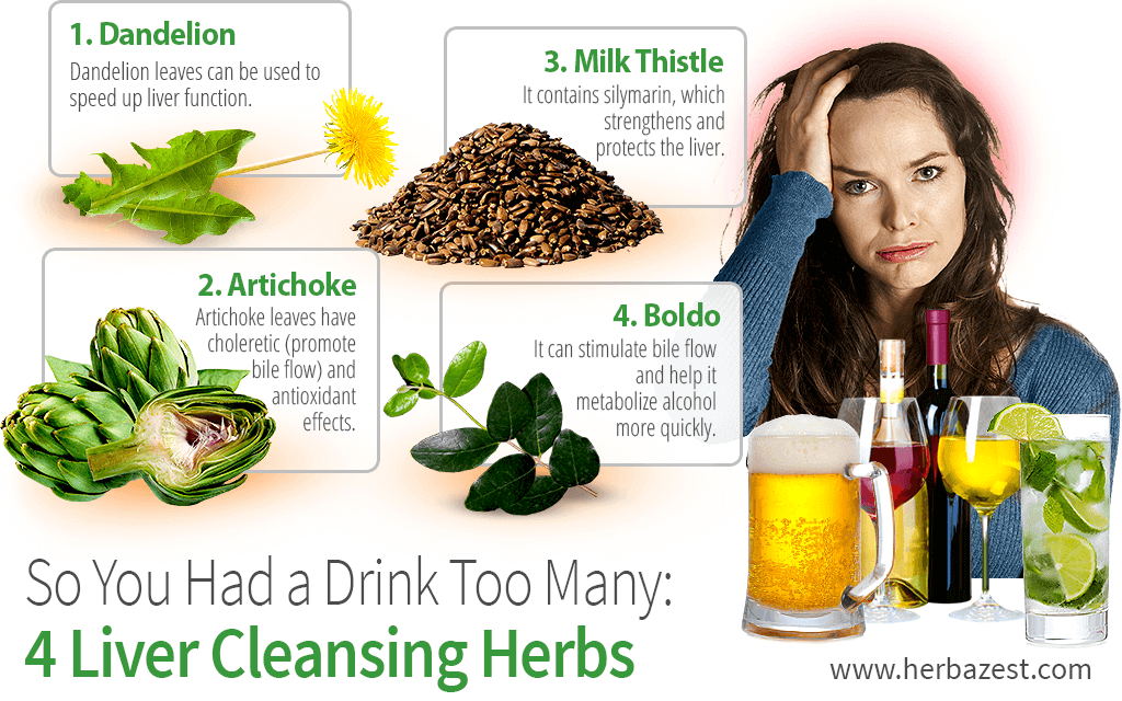 So You Had a Drink Too Many: 4 Liver Cleansing Herbs