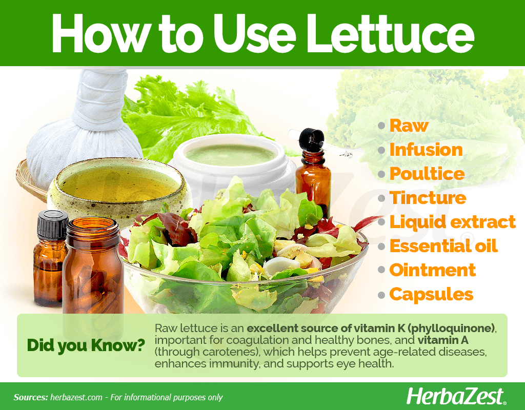 How to Use Lettuce