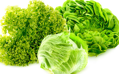 Lettuce