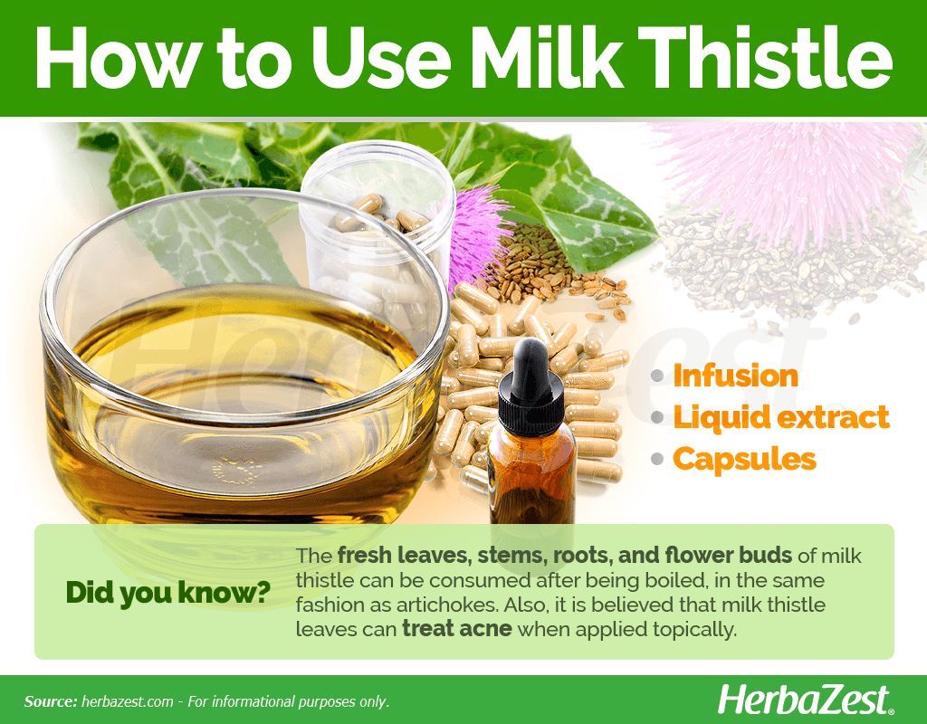 How to Use Milk Thistle