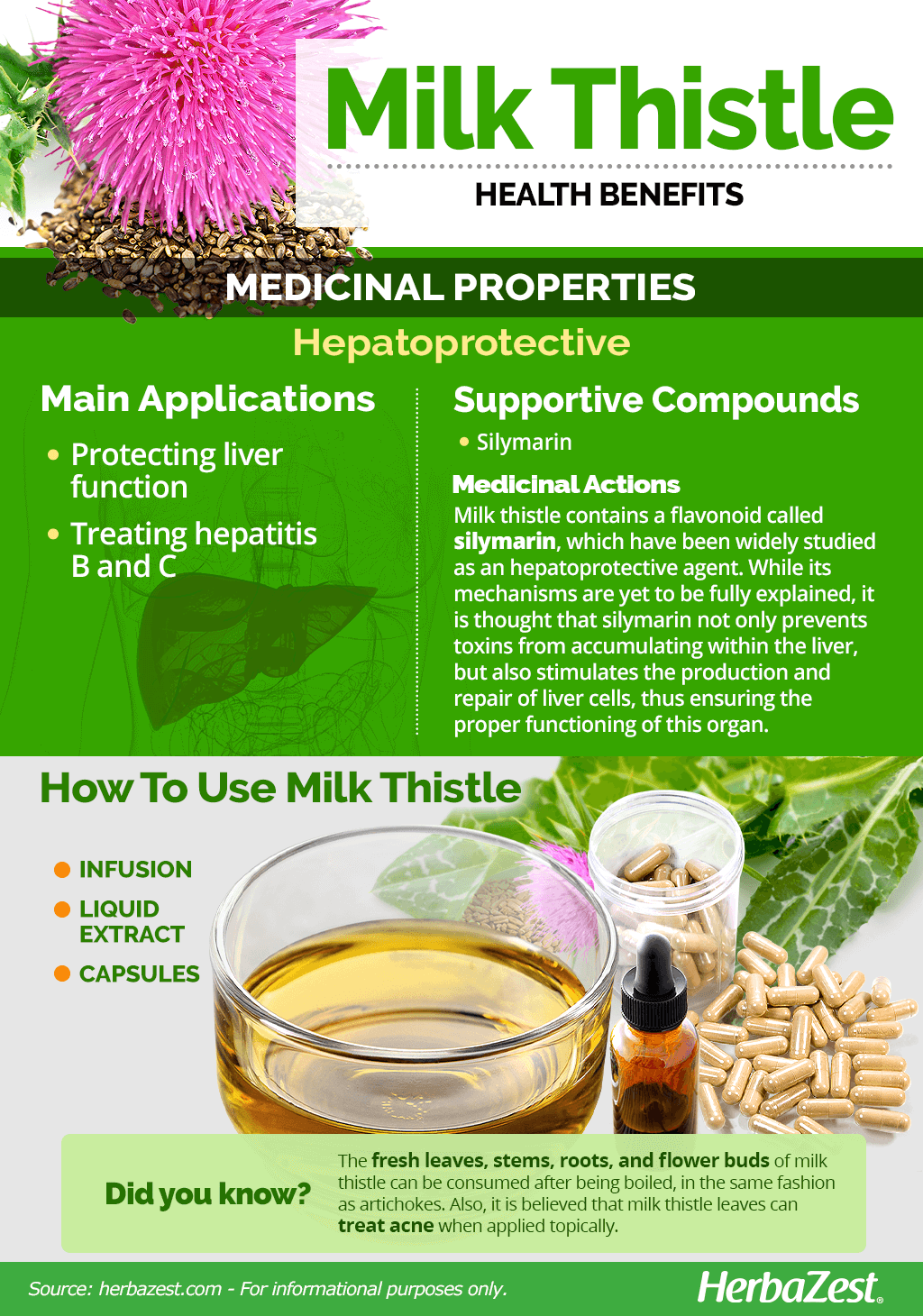 All About Milk Thistle