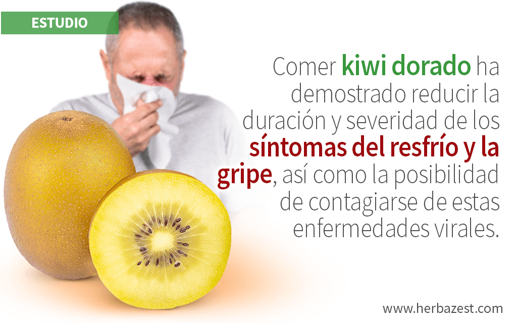 El kiwi dorado reduce los síntomas del resfrío común y la gripe