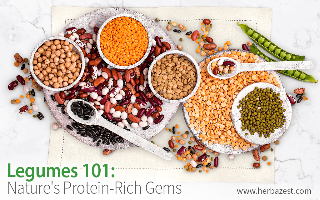 Legumes 101: Nature's Protein-Rich Gems