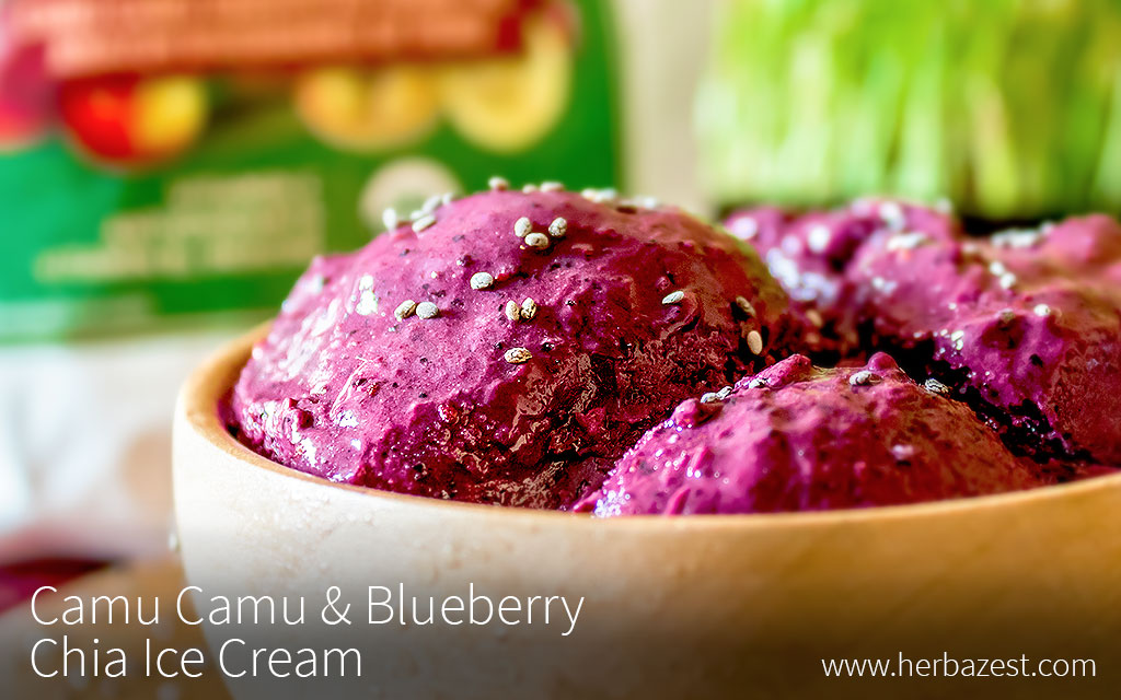 Camu Camu & Blueberry Chia Ice Cream