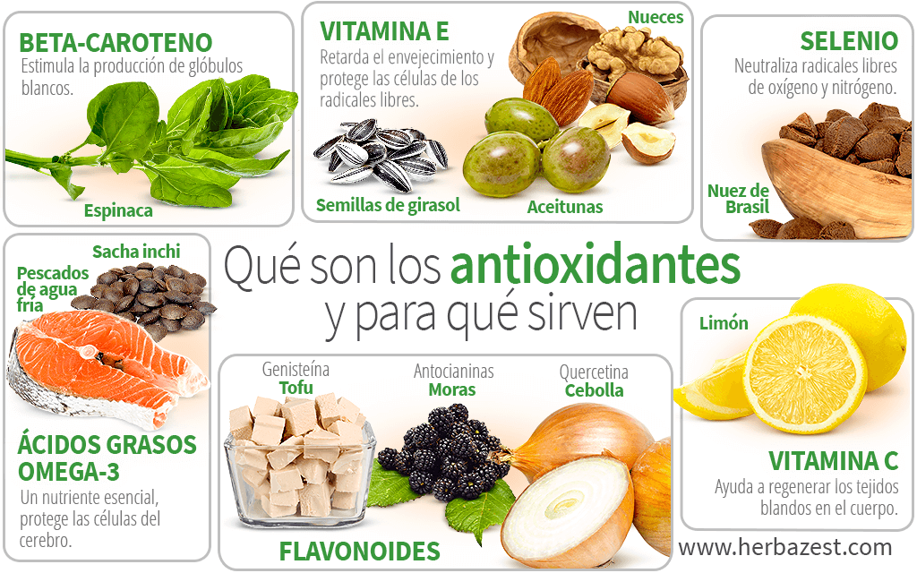 Qué son los antioxidantes y para qué sirven