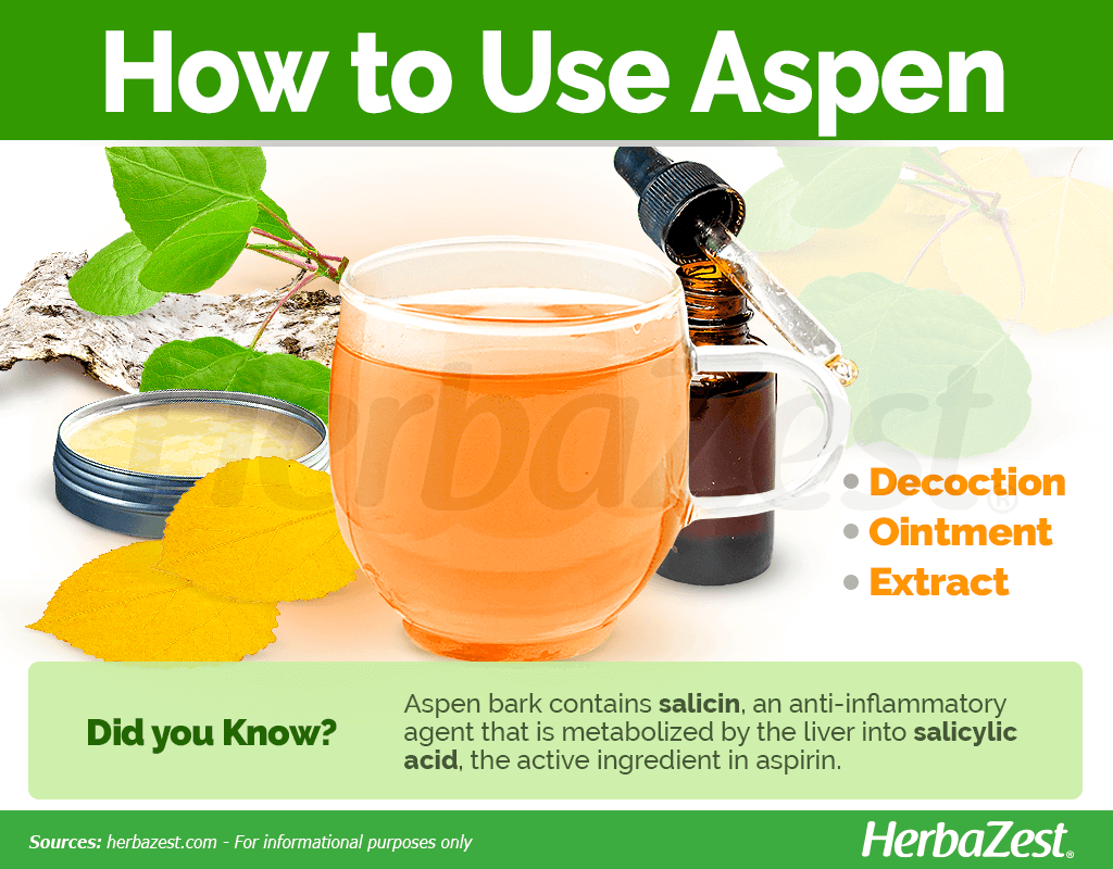 How to Use Aspen