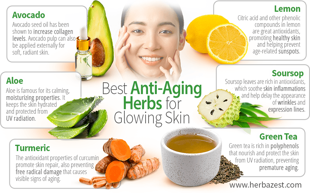 Best Anti-Aging Herbs for Glowing Skin