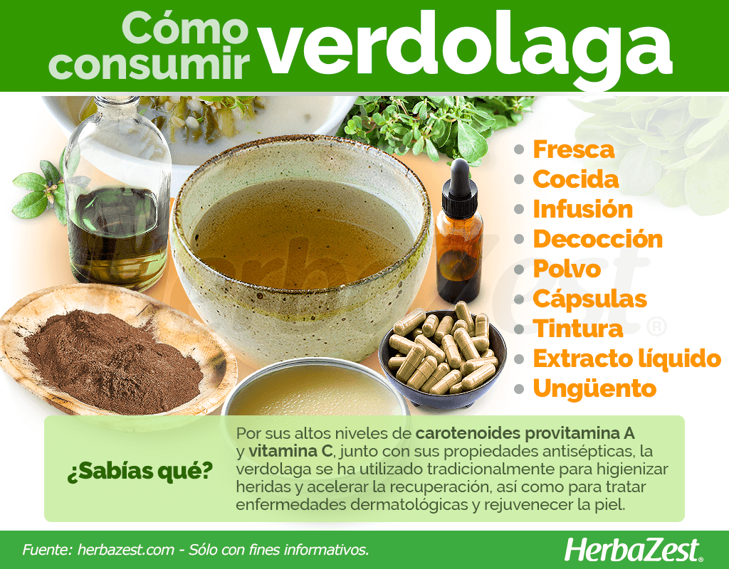 Cómo consumir verdolaga