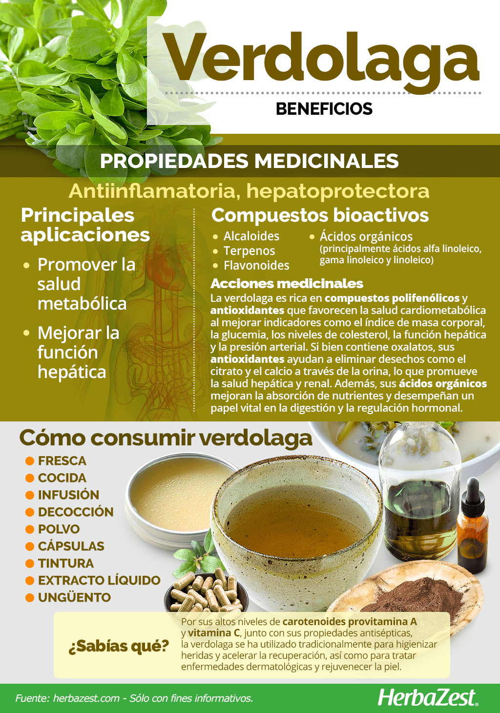 Beneficios de la verdolaga