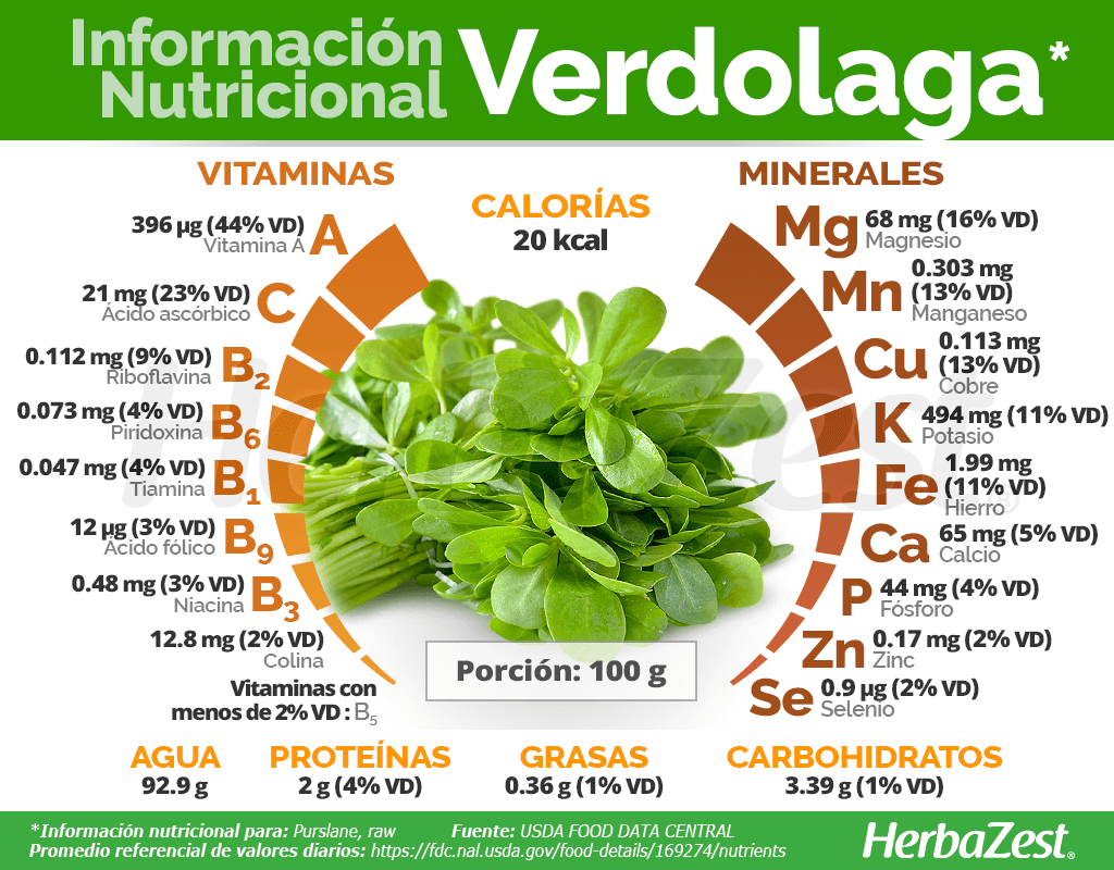 Información nutricional de la verdolaga