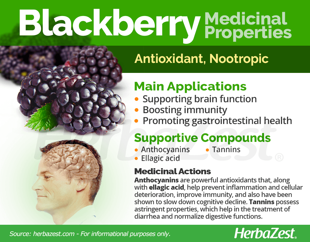 Blackberry Medicinal Properties