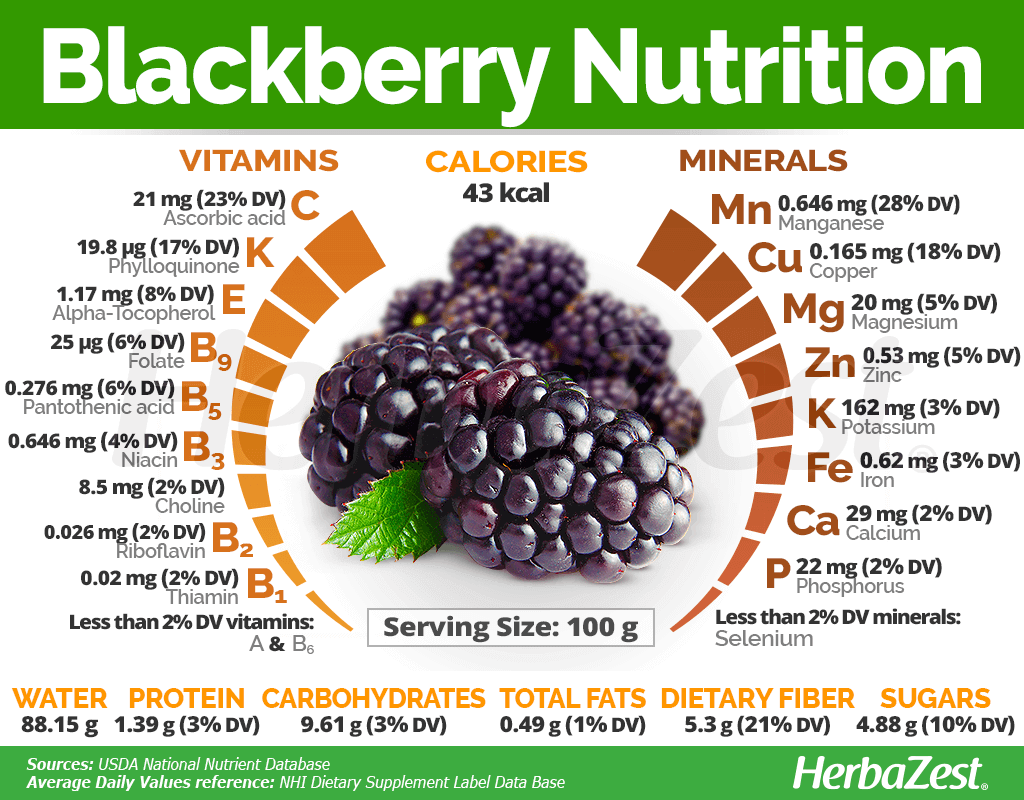 Blackberry Nutrition