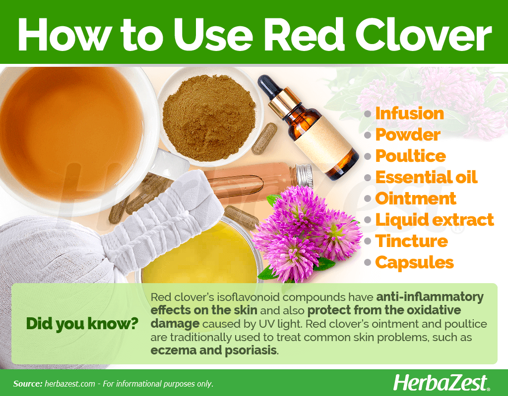 How to Use Red Clover