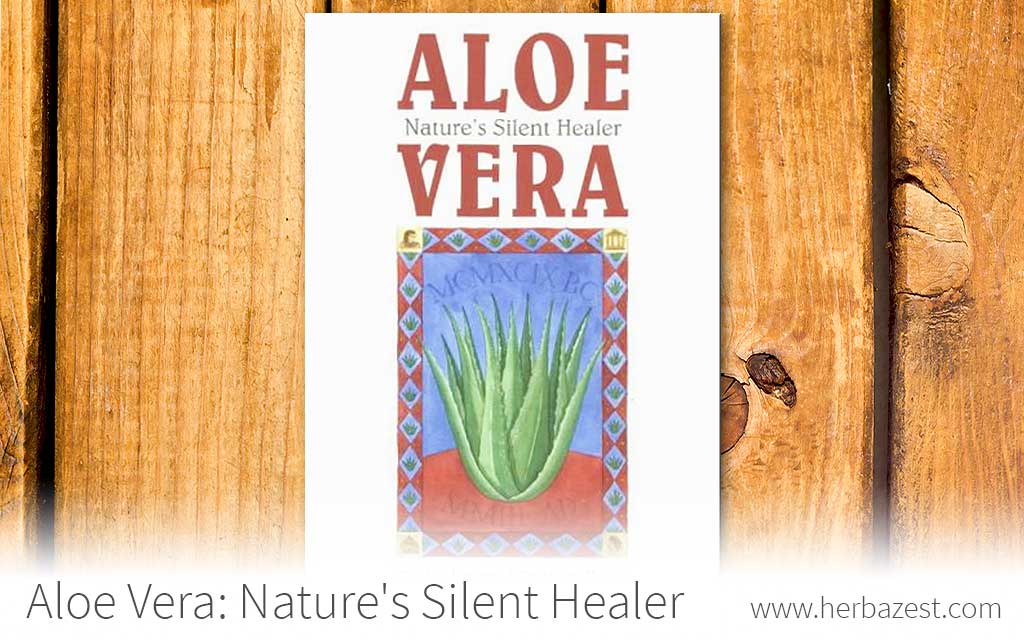 Aloe Vera: Nature's Silent Healer