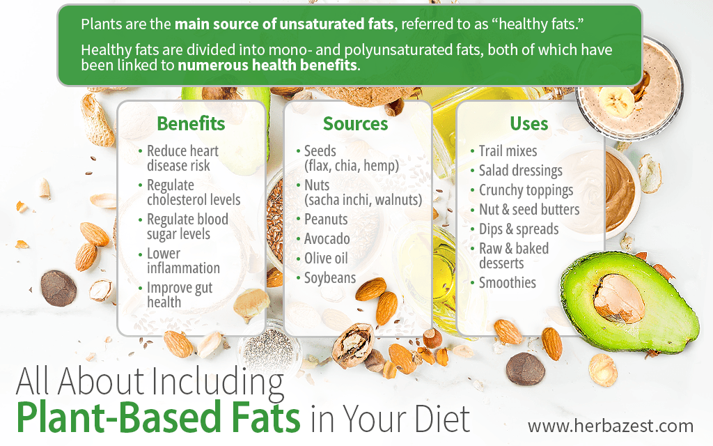All About Including Plant-Based Fats in Your Diet