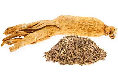 Ginseng