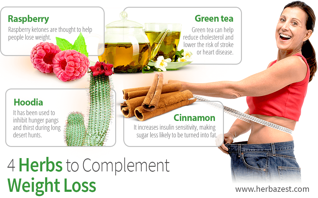 4 Herbs to Complement Weight Loss