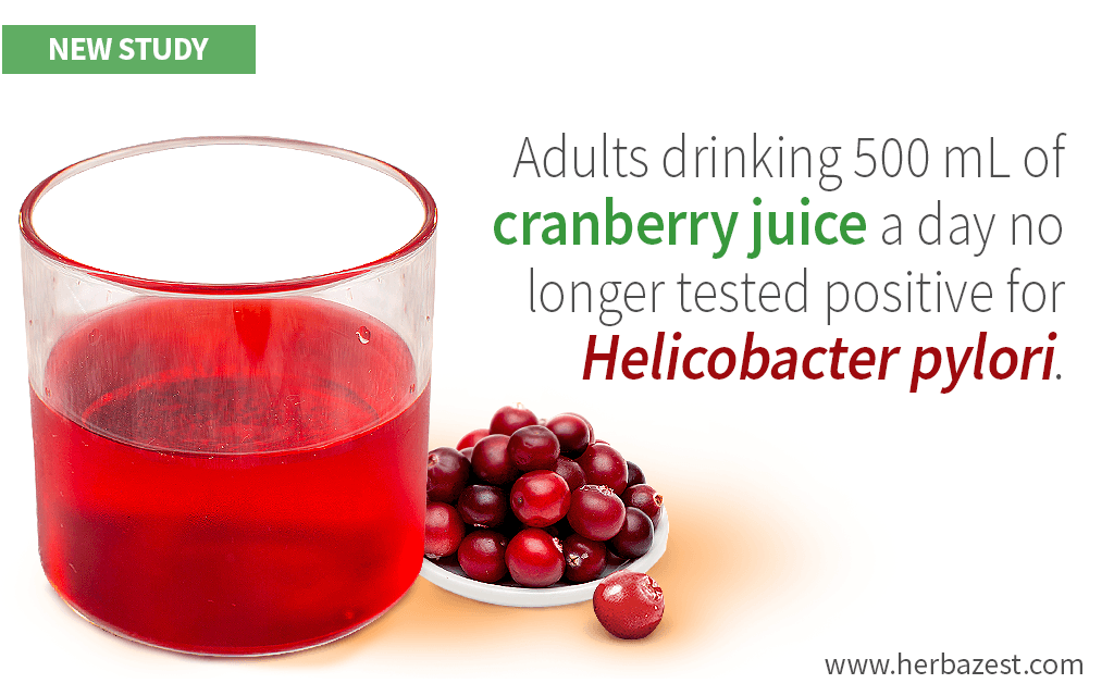 Cranberry Juice May Help Suppress Helicobacter Pylori Infections