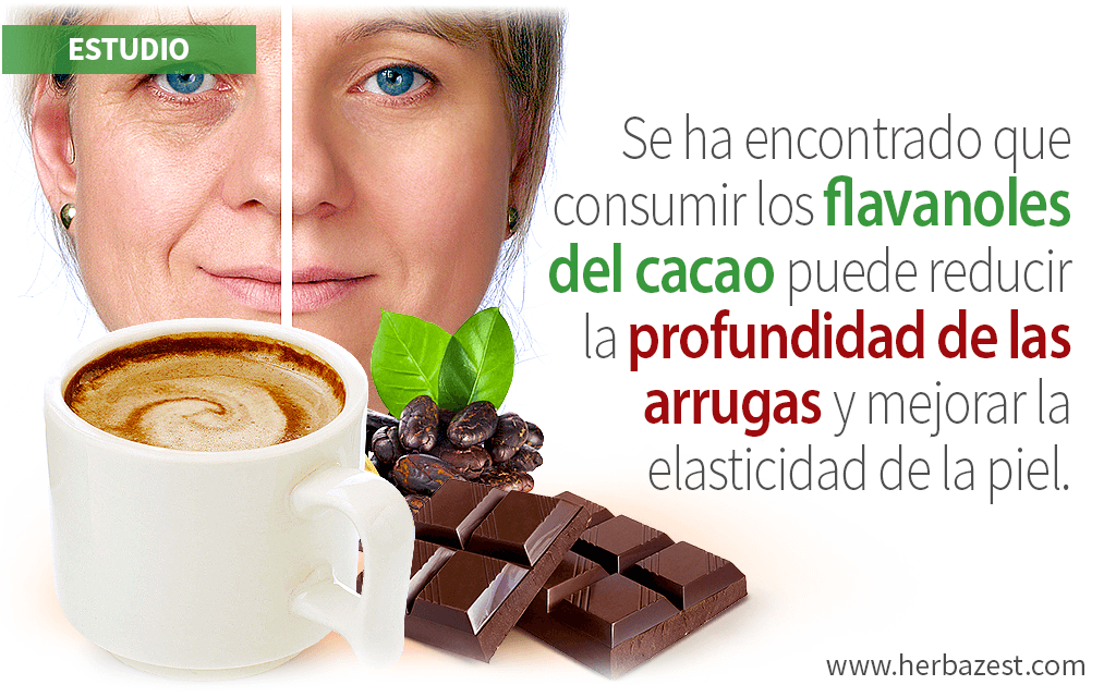 Muestran beneficios del cacao para la piel de mujeres con fotoenvejecimiento facial