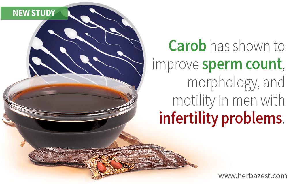 Male Fertility Improved by Carob Consumption