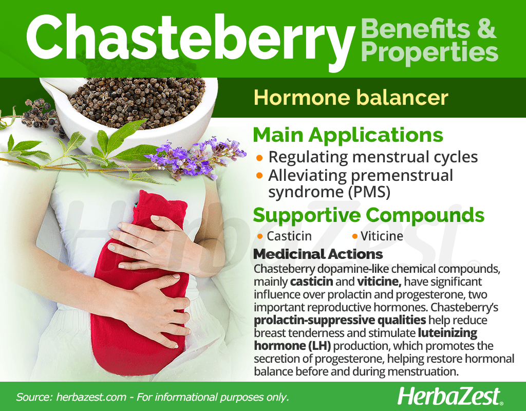 Chasteberry Benefits and Properties