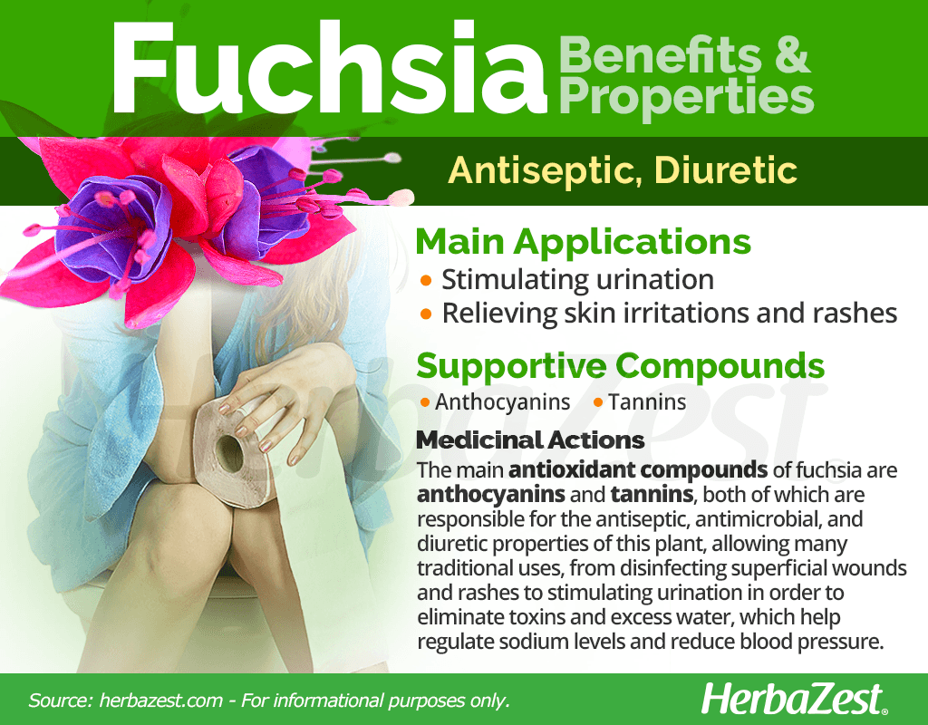 Fuchsia Benefits & Properties
