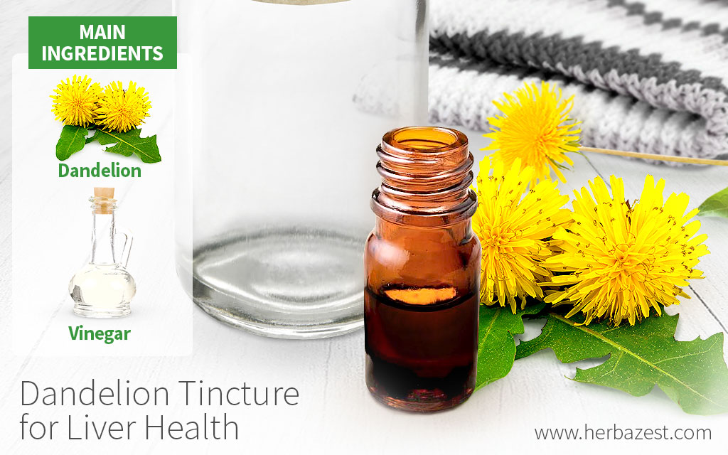 Dandelion Tincture for Liver Health HerbaZest