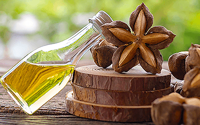 El aceite de sacha inchi contribuye al control lipídico después de comidas ricas en grasas