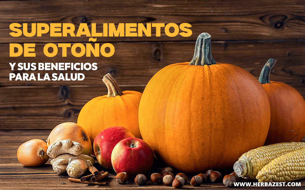 Superalimentos de otoño y sus beneficios para la salud