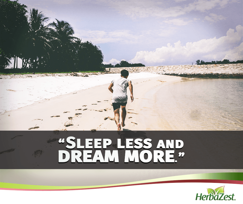 Quote: Sleep Less and Dream More