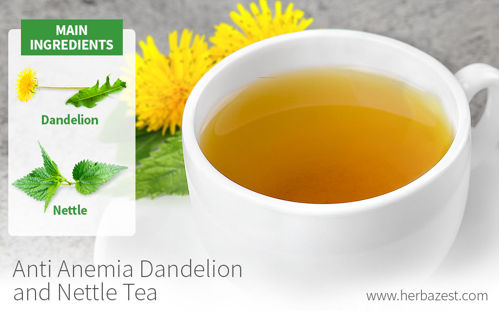 Dandelion and Nettle Tea for Anemia HerbaZest