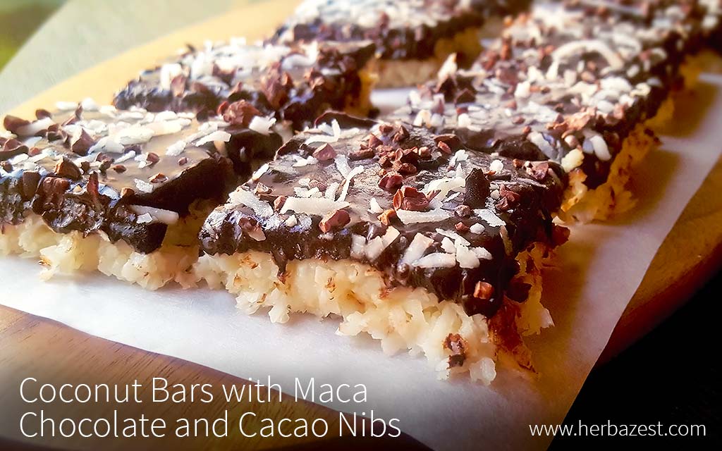 Coconut Bars with Maca Chocolate and Cacao Nibs