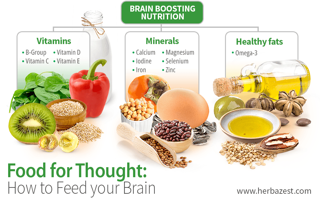 Food for thought: How to Feed your Brain