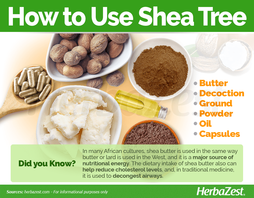 How to Use Shea Tree