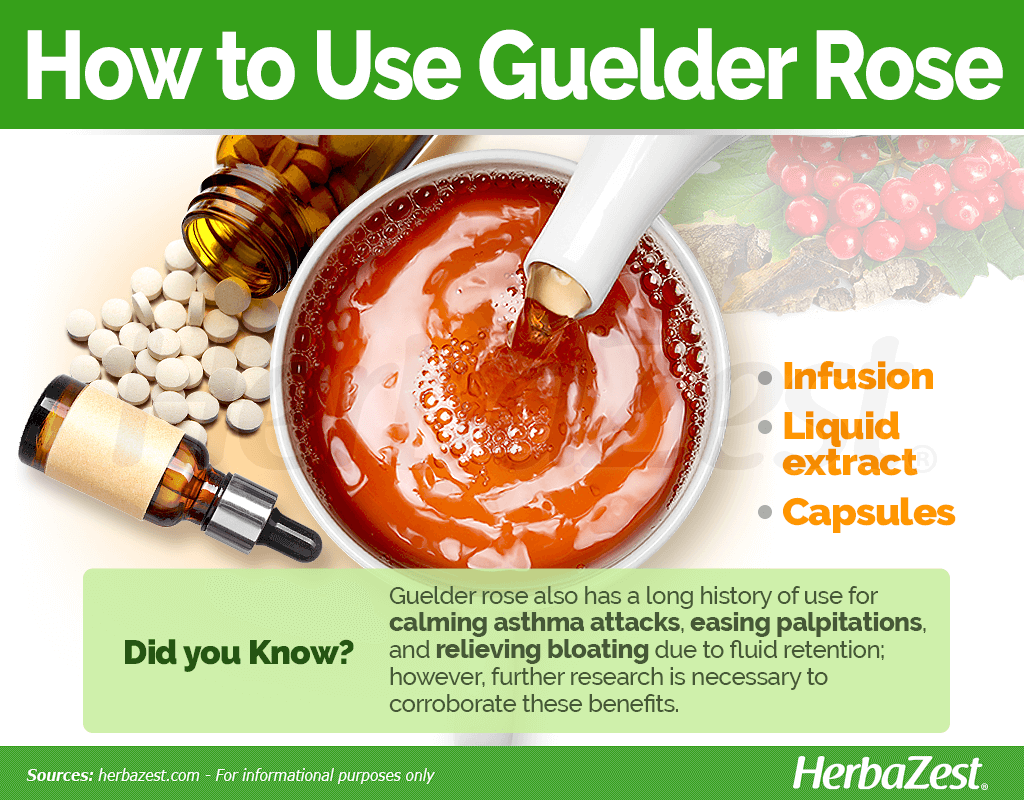 How to Use Guelder Rose