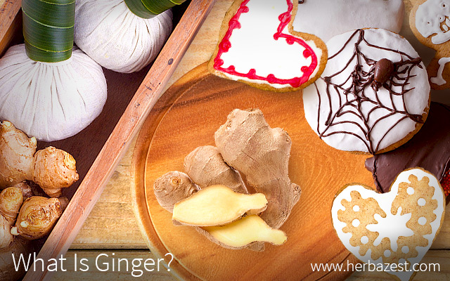 What Is Ginger?