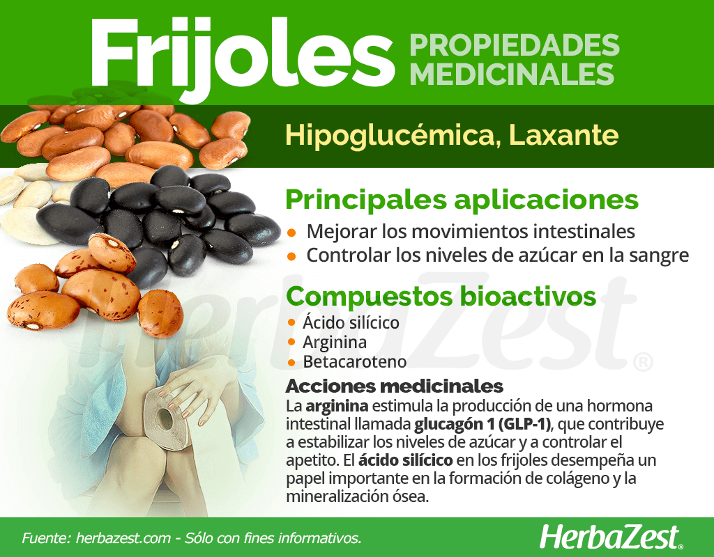 Propiedades medicinales de los frijoles