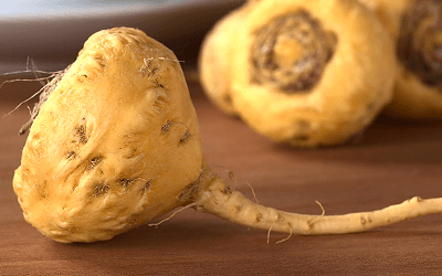 Maca May Help Relieve Symptoms of Testosterone Deficiency in Older Men