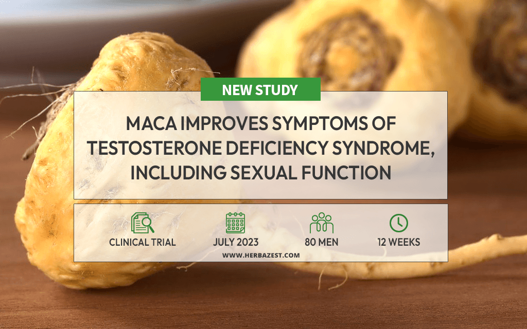Maca May Help Relieve Symptoms of Testosterone Deficiency in Older Men