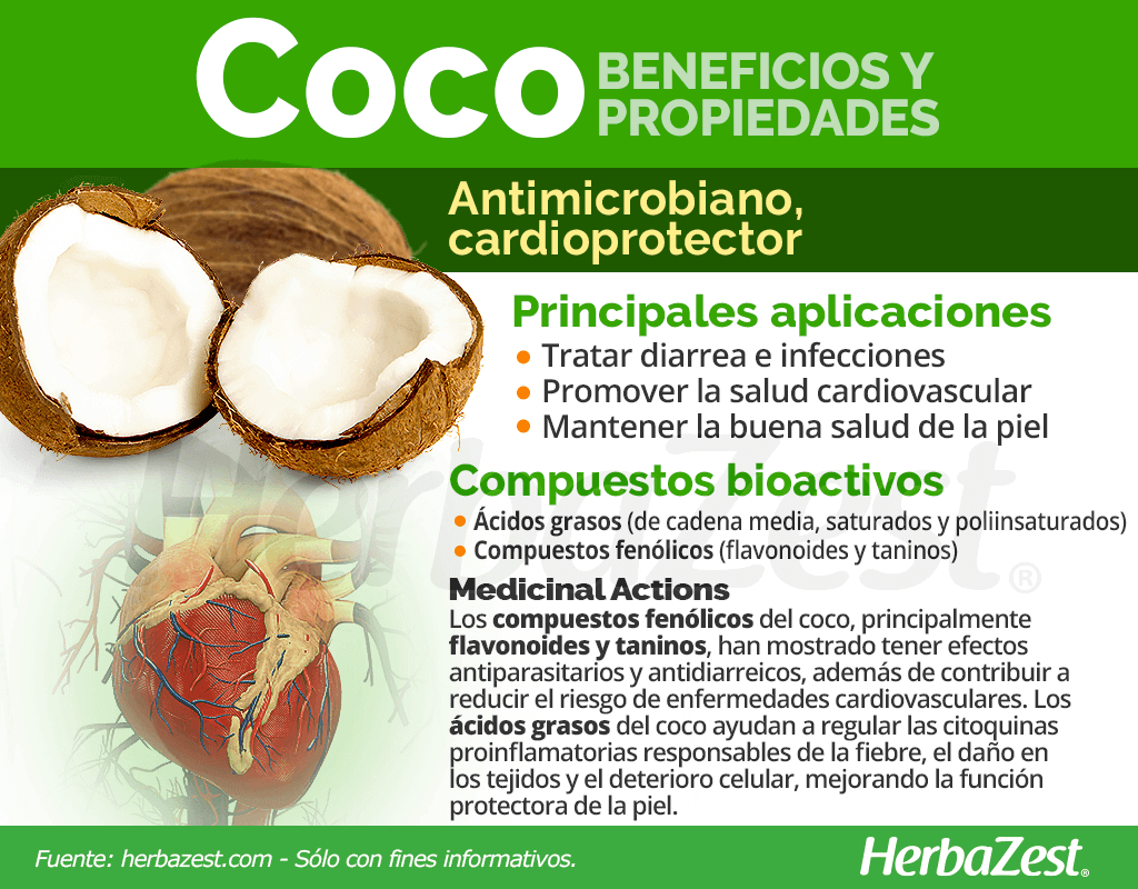 Bemeficios y propiedades del coco