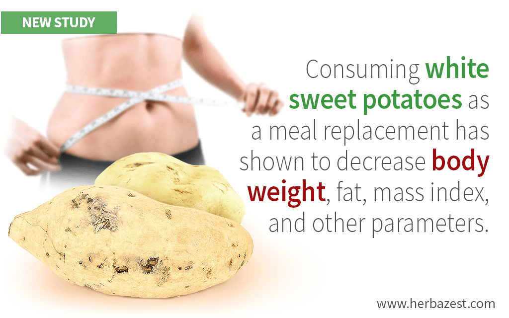 White Sweet Potato Can Facilitate Weight Loss in Overweight Adults