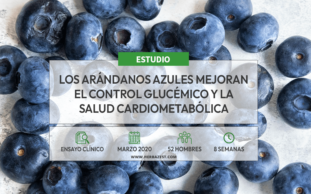 Beneficios de los arándanos azules para el control de la diabetes