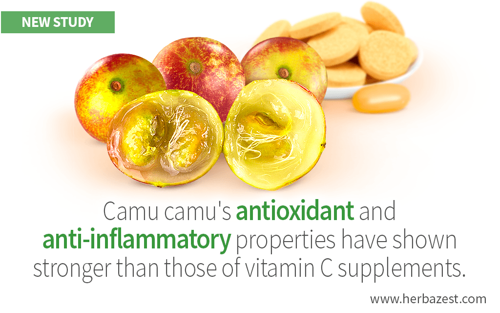 Camu Camu's Antioxidant and Anti-Inflammatory Actions Shown in a Trial