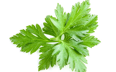 Parsley