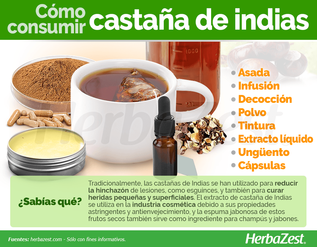 Cómo consumir castaña de Indias