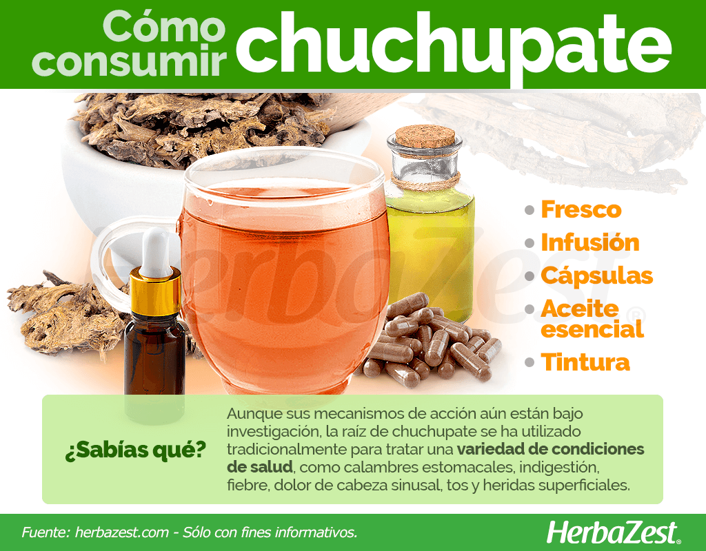 Cómo consumir chuchupate